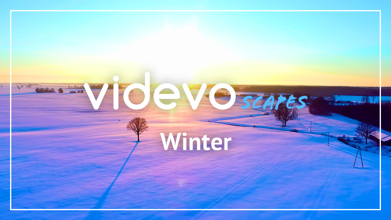 Videvoscape - Winter Landscapes
