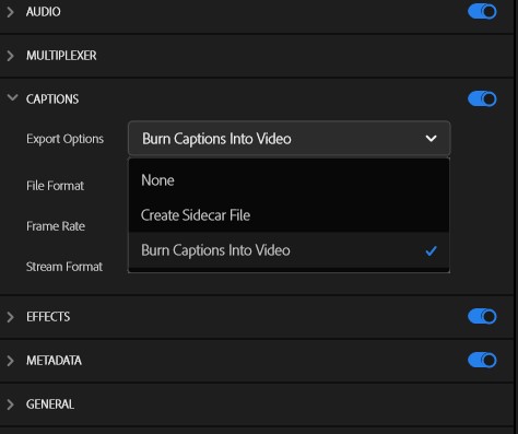 Captioning options