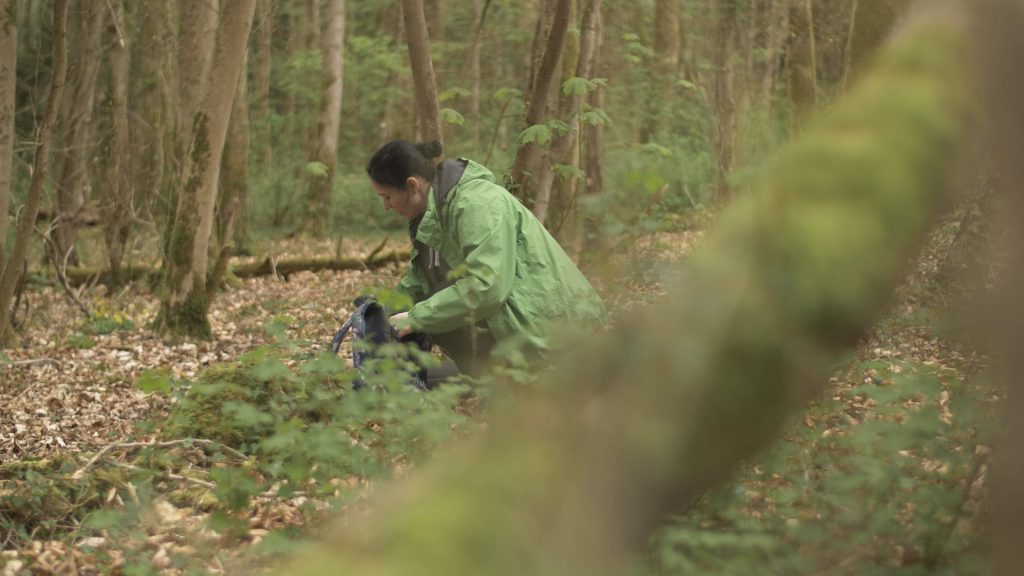 Contrasting clothing in forest